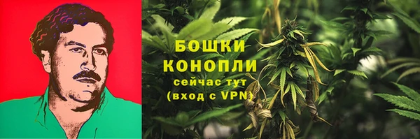 спайс Лагань
