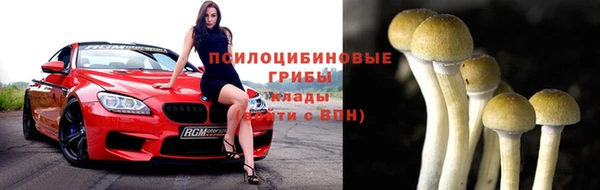 спайс Лагань