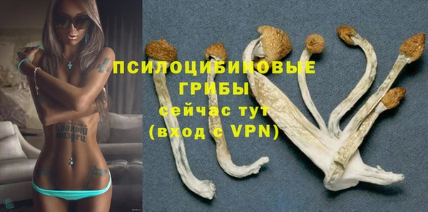 а пвп мука Лабытнанги