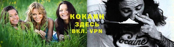 спиды Новосибирск